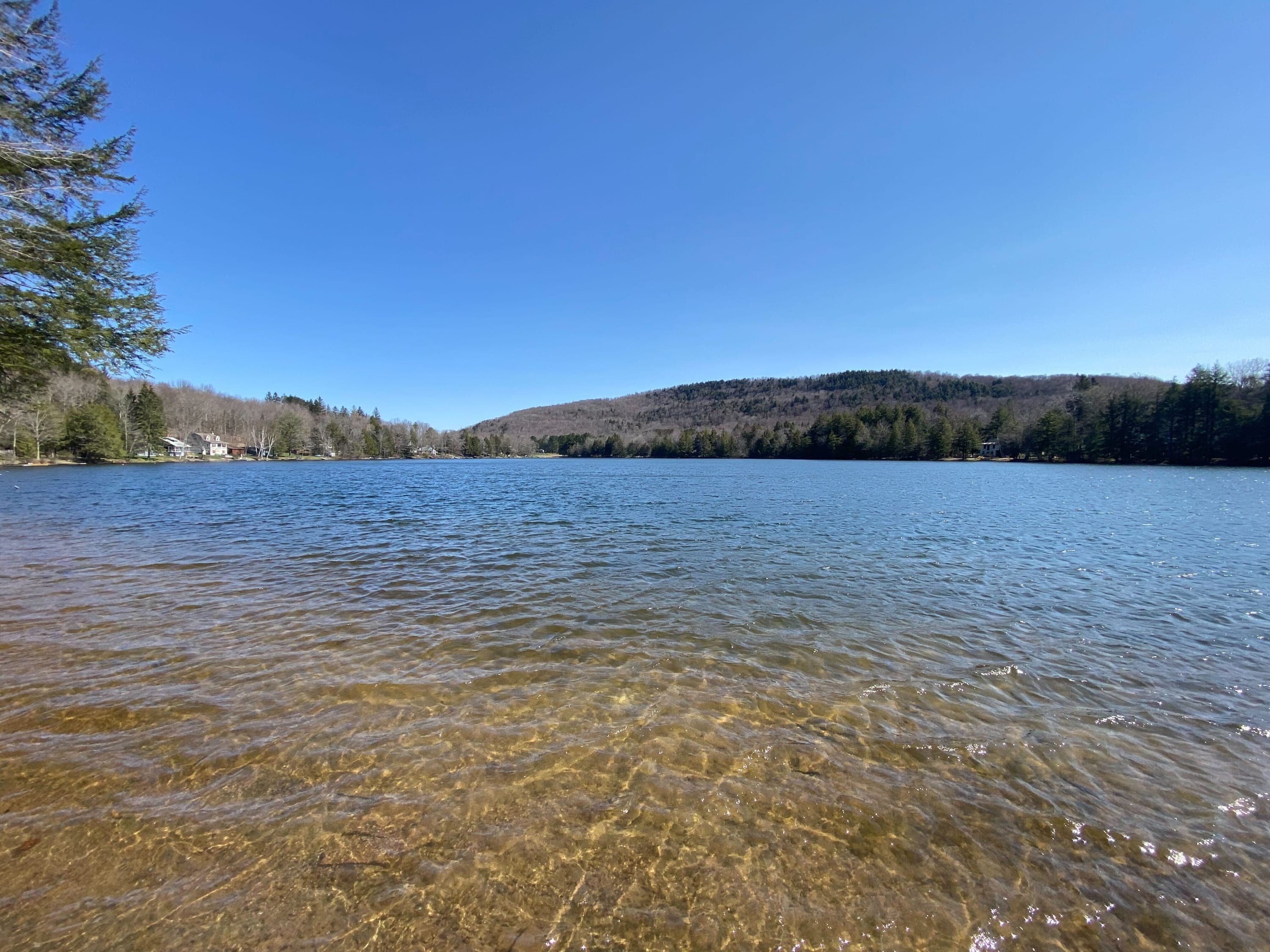 Perch Lake photo 5