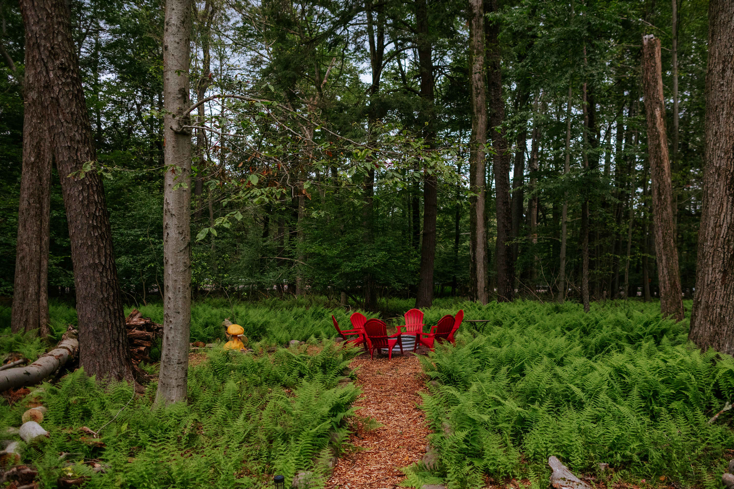 The Blankenburg House photo 5