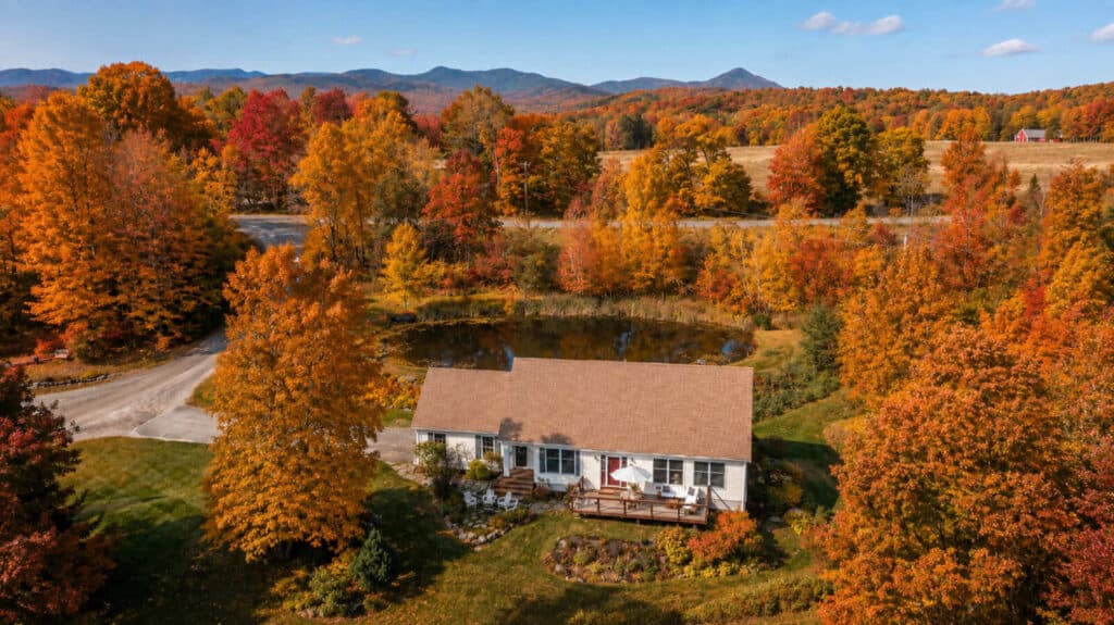 Enchanted Views