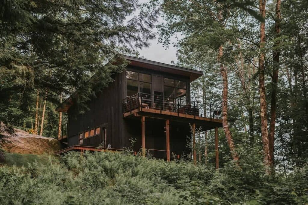 The Treehaus
